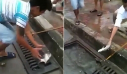 Dùng que bắt cá trong cống “siêu dị” trên đường phố Hà Nội